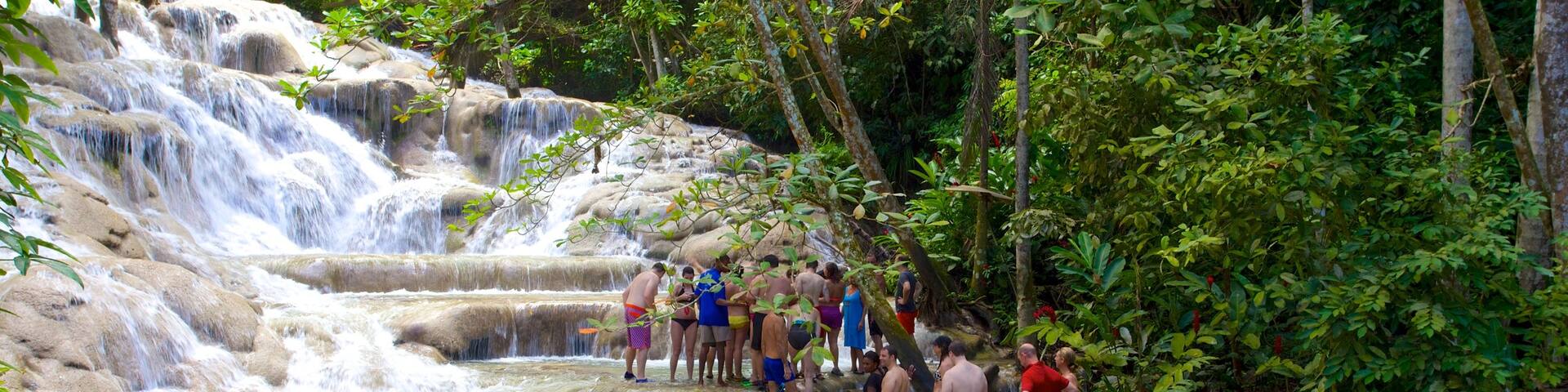 Dunn\'s River Falls featuring a cascade and swimming as well as a large group of people