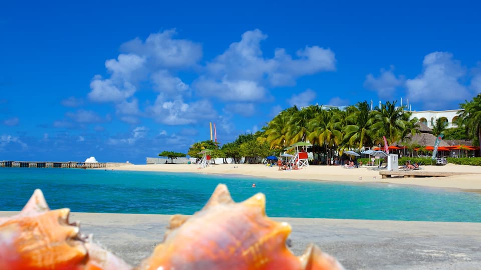 Doctor\'s Cave Beach ofreciendo escenas tropicales, una playa y una ciudad costera