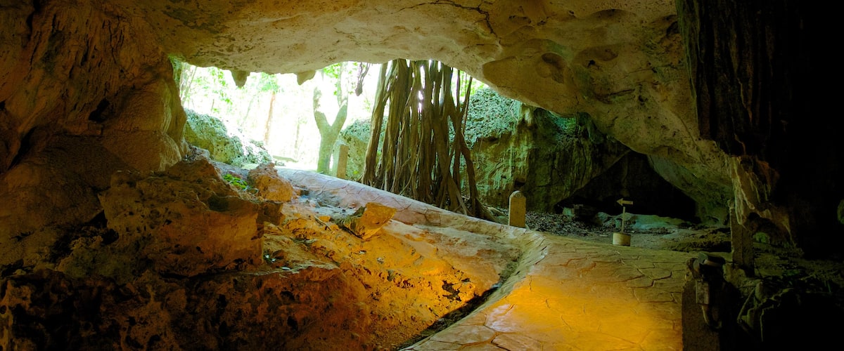 Green Grotto Caves showing interior views and caves