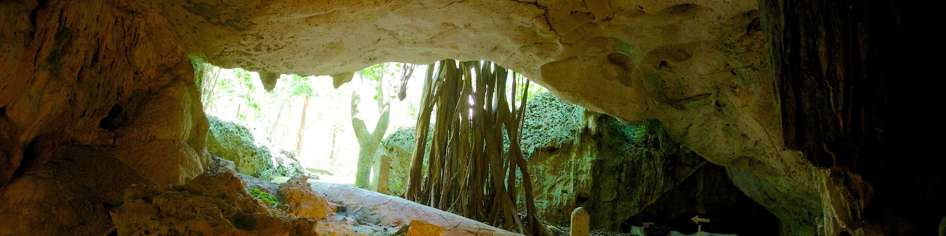 Green Grotto Caves showing caves and interior views