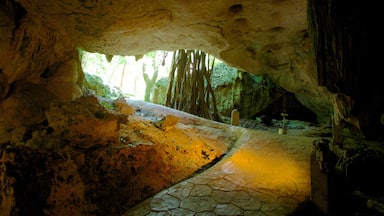 Green Grotto Caves showing interior views and caves