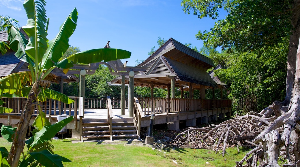 Green Grotto Caves featuring a garden