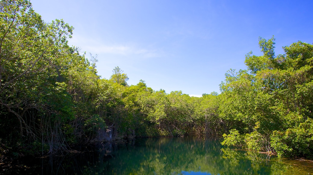 Green Grotto Caves bevat bos en een meer of poel