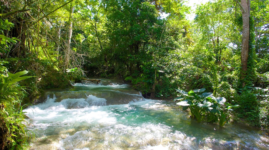 Mayfield Falls