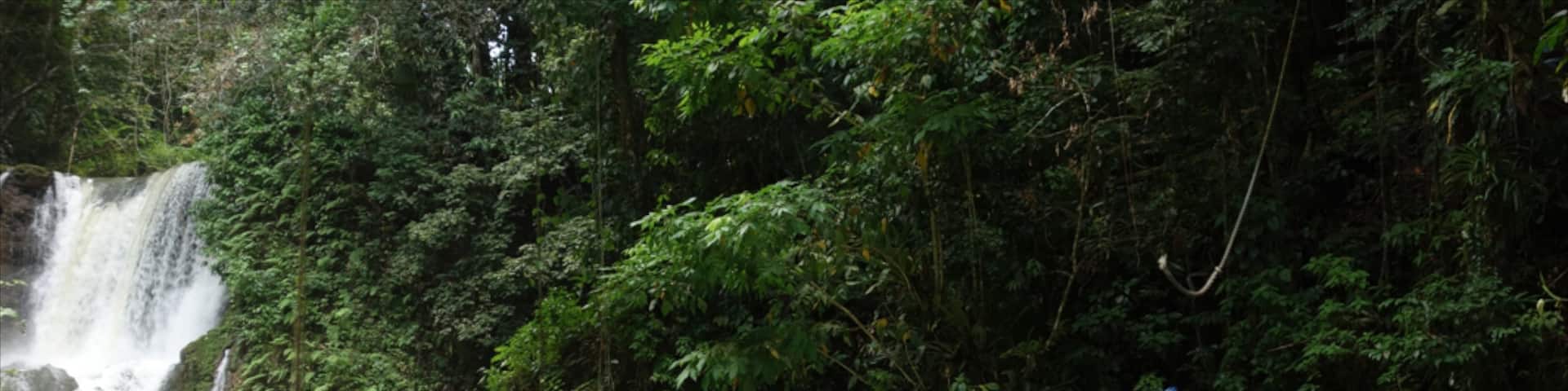 YS Falls showing a cascade as well as an individual male