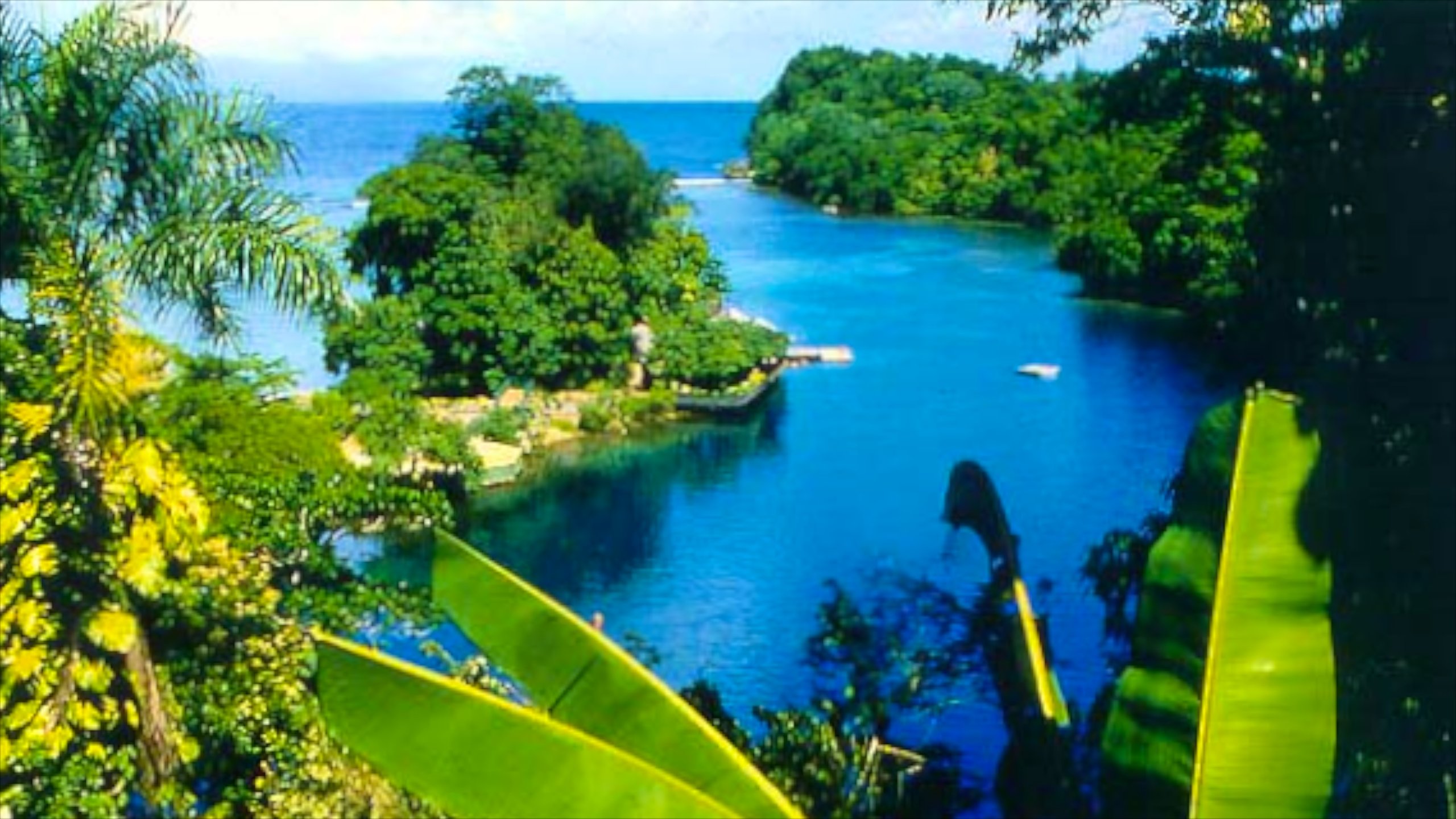 tourist attractions in portland jamaica