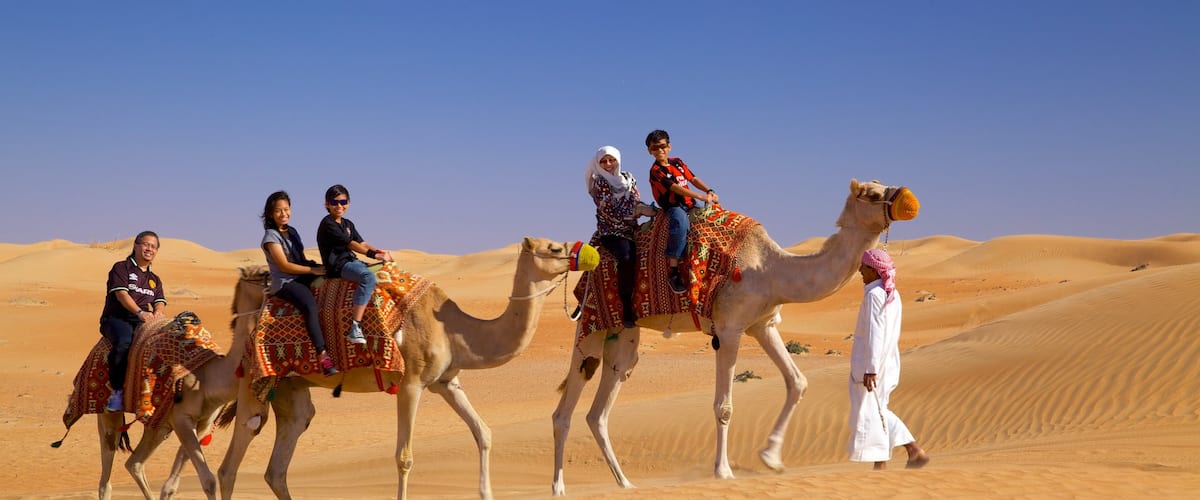 Désert de Dubaï montrant vues du désert et animaux terrestres aussi bien que petit groupe de personnes