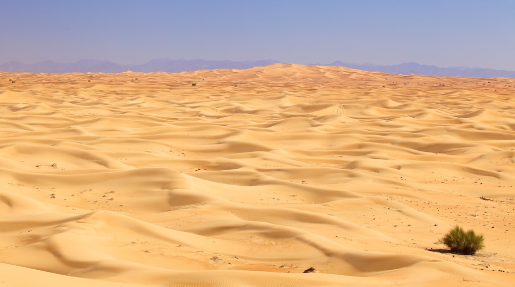 Dubai Desert som viser udsigt over landskaber og udsigt over ørkenen