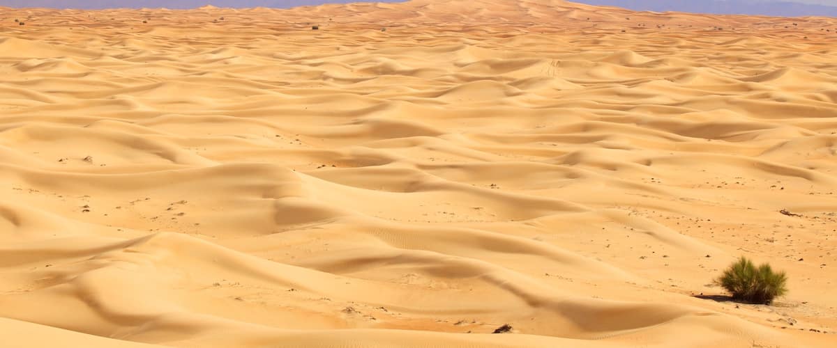 Dubai Desert showing landscape views and desert views