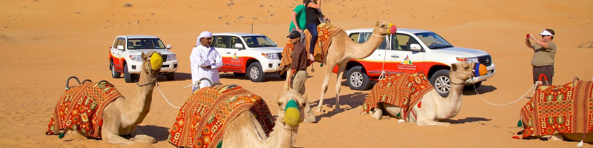 Dubai Desert which includes vehicle touring, desert views and land animals