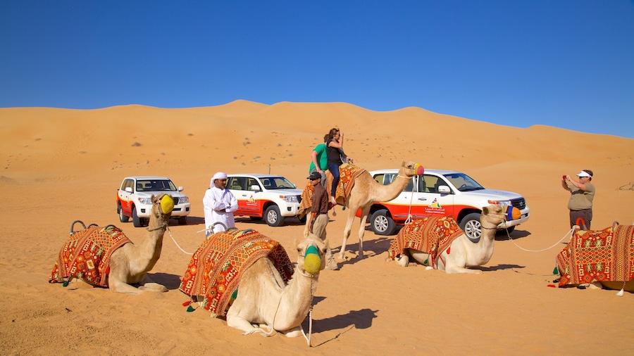 Dubai Desert som visar guidad tur, öknar och landdjur