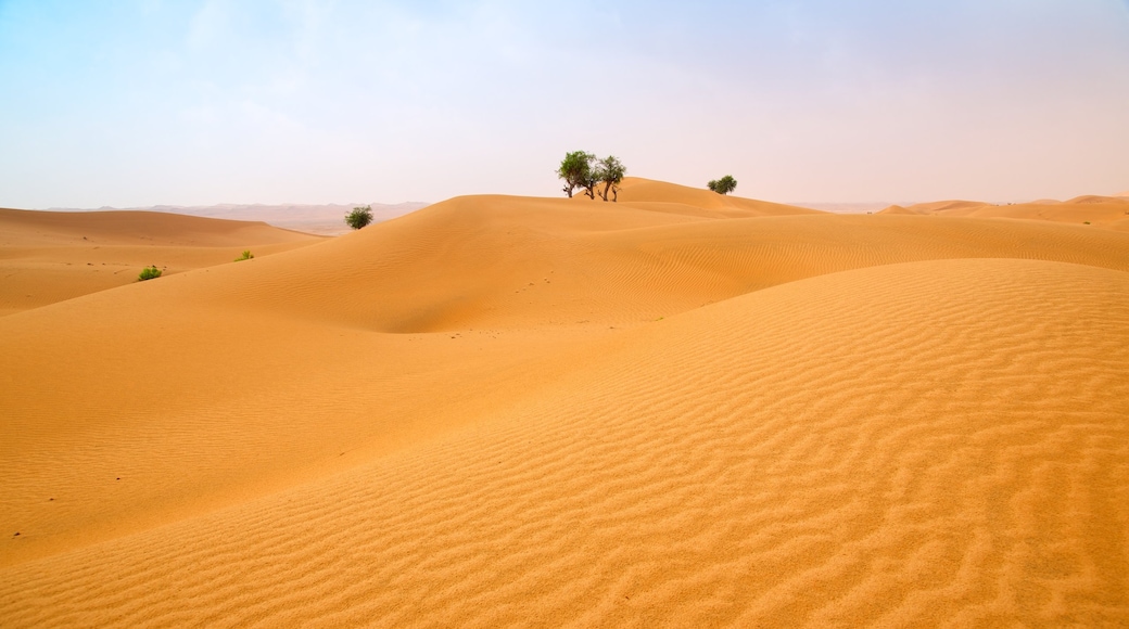 Emirato de Abu Dabi mostrando vista al desierto y vista panorámica