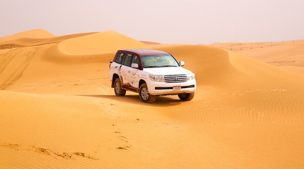 Emirat Abu Dhabi welches beinhaltet Wüstenblick und Off-Road-Fahrt