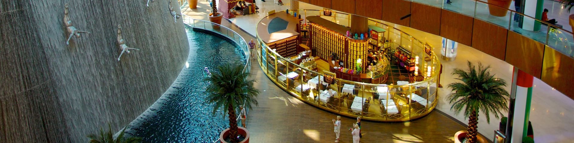 Dubai Mall mit einem Innenansichten und Einkaufen