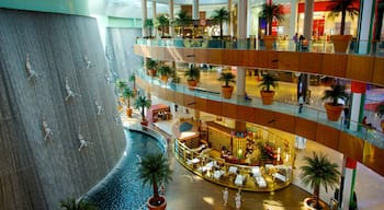 Dubai Mall which includes interior views and shopping