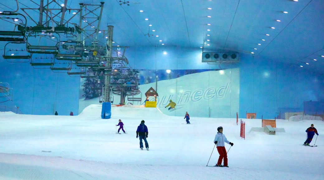 Ski Dubai which includes a gondola, snow skiing and interior views