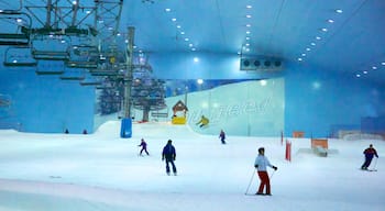 Ski Dubai toont een gondel, sneeuw en interieur