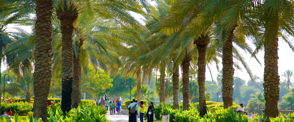 Safa Park showing a garden
