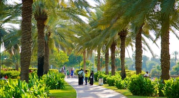 Safa Park showing a garden