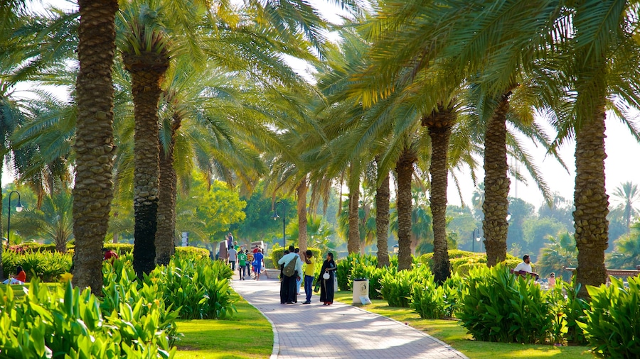 Safa Park showing a garden
