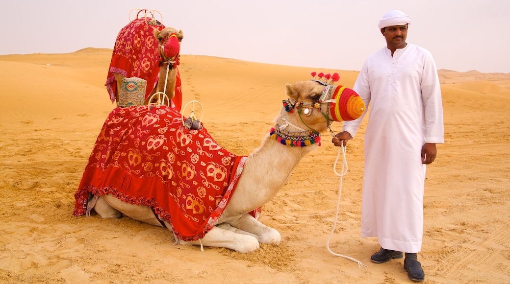 Abu Dhabi Emirate showing land animals and desert views as well as an individual male