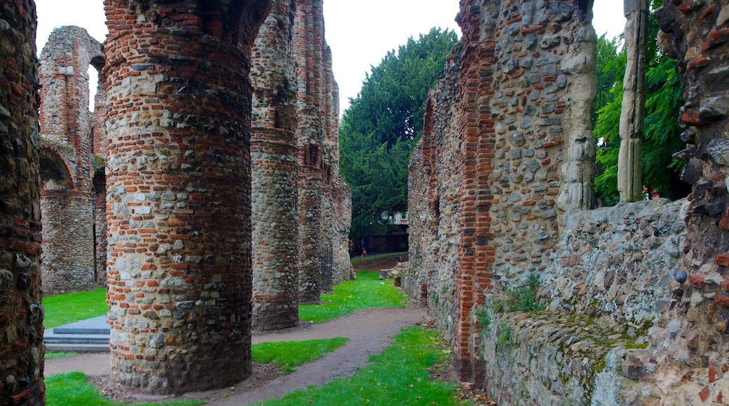 St Botolph\'s Church showing religious aspects, building ruins and a church or cathedral