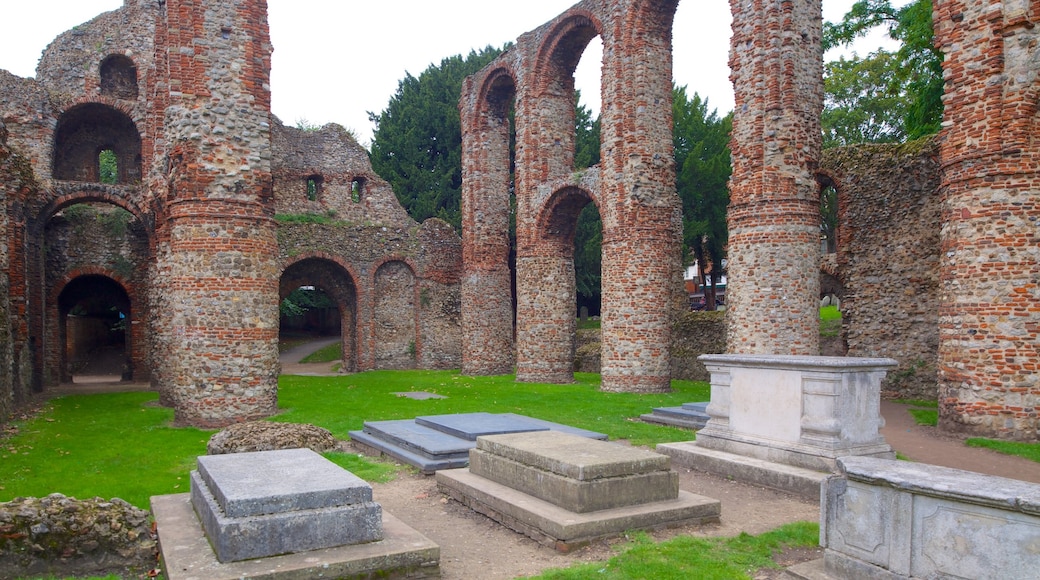 St Botolph\'s Church featuring heritage architecture, a church or cathedral and a ruin