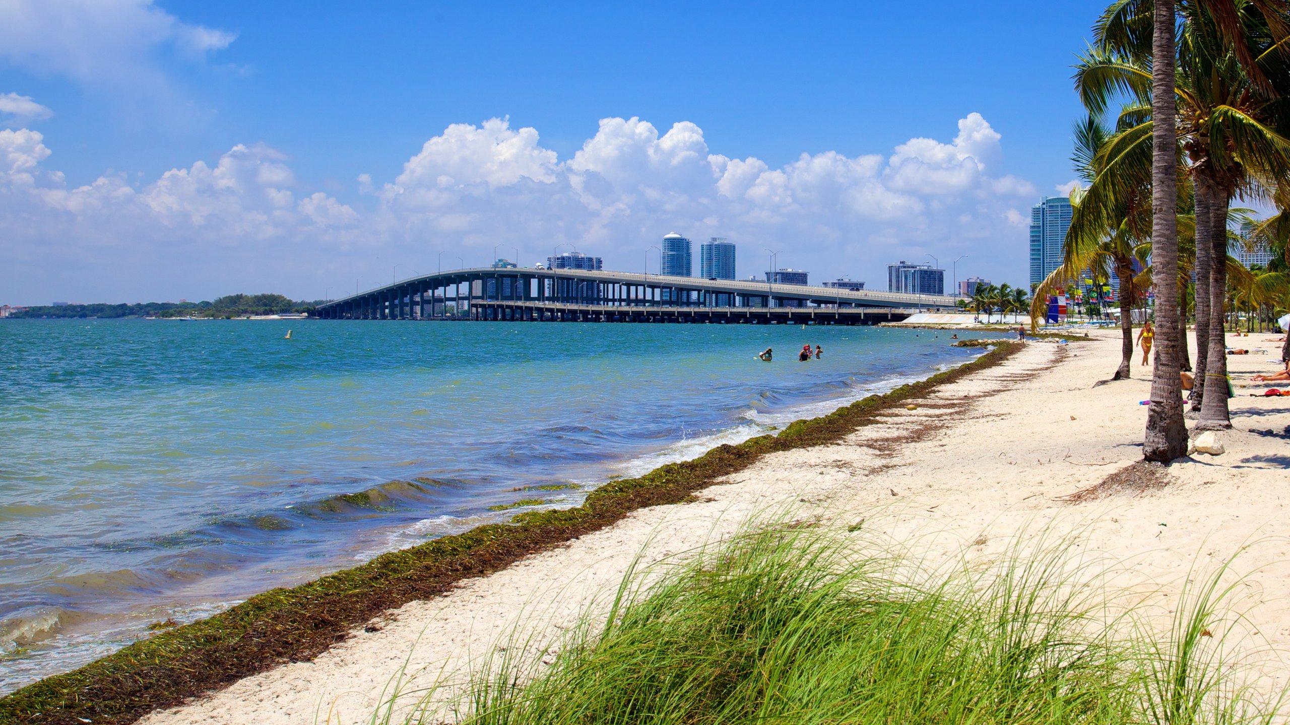 Key Biscayne showing tropical scenes, a sandy beach and a bridge