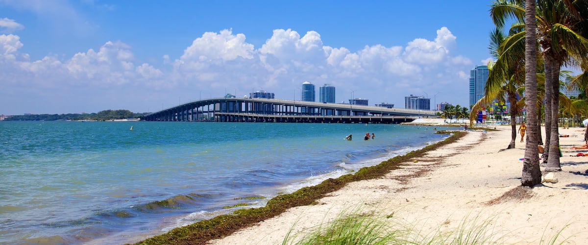 Key Biscayne montrant scĂšnes tropicales, plage de sable et pont