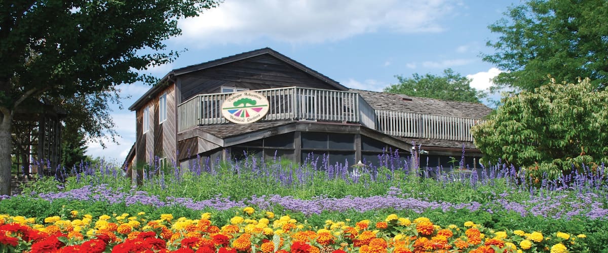 Downtown Dubuque showing a house, flowers and a garden