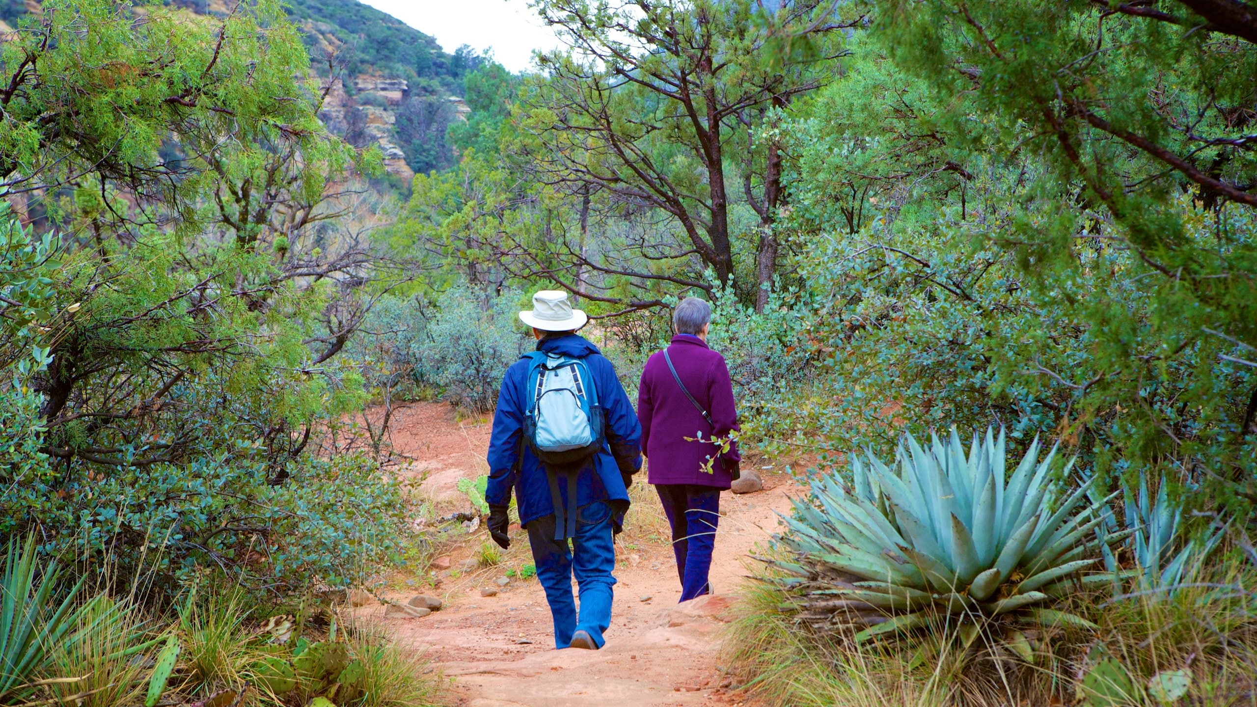 Slide Rock State Park ofreciendo senderismo o caminata y bosques y también una pareja