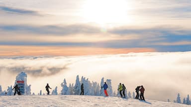 Mont-Tremblant Ski Resort showing snow, landscape views and snow skiing