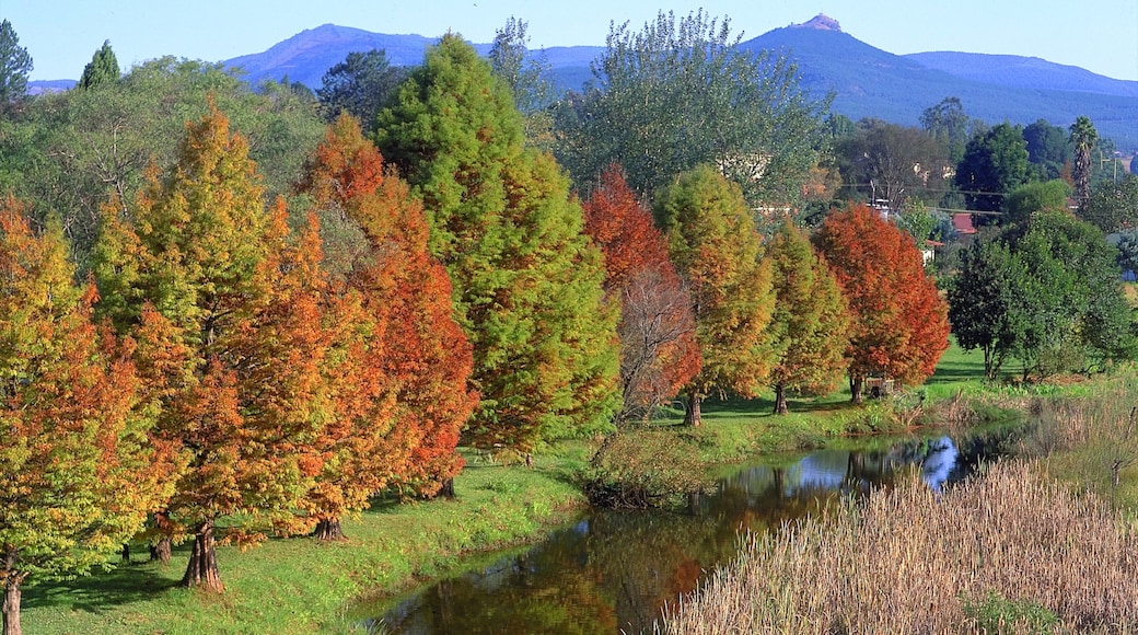 Photo provided by South African Tourism
