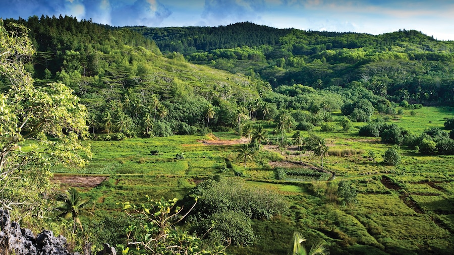 Manihiki which includes landscape views and tranquil scenes