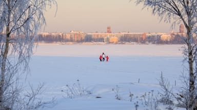 Vaasa which includes snow and a city