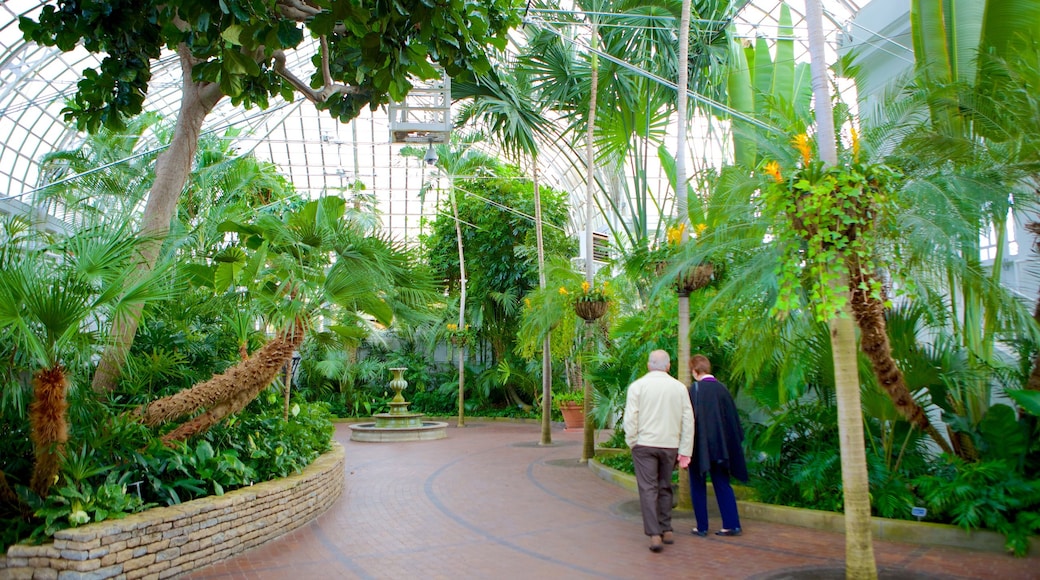 Jardín botánico y área de conservación Franklin Park mostrando vista interna y un parque y también una pareja