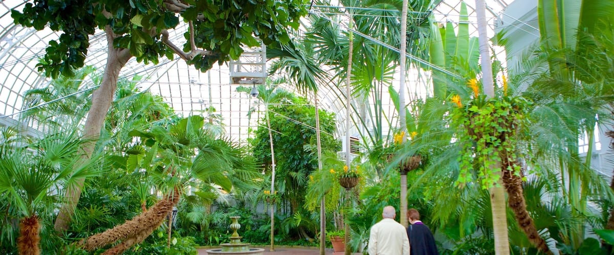 Jardín botánico y área de conservación Franklin Park mostrando vistas interiores y un jardín y también una pareja