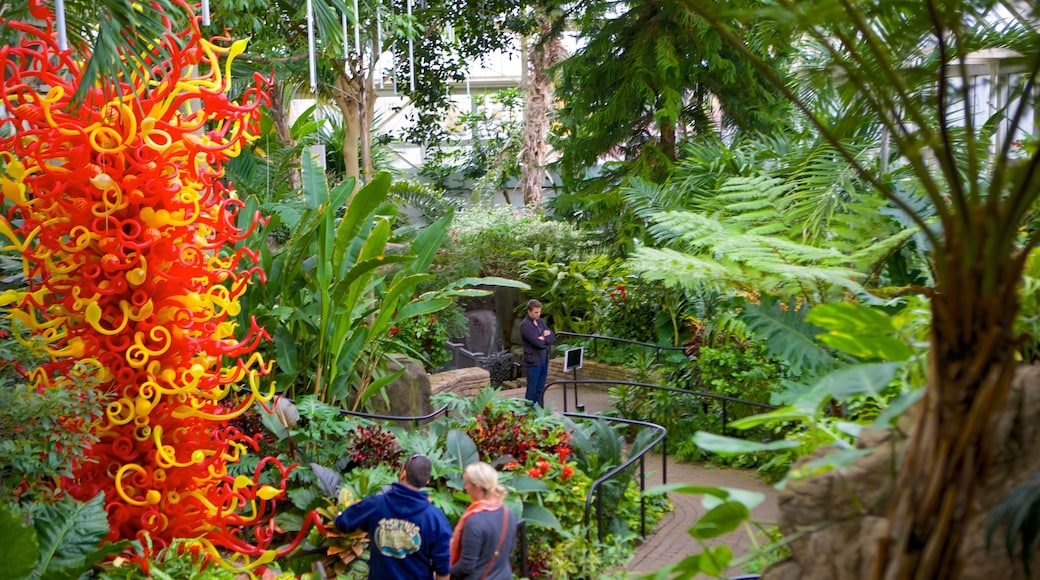 Jardín botánico y área de conservación Franklin Park ofreciendo vistas interiores y un jardín