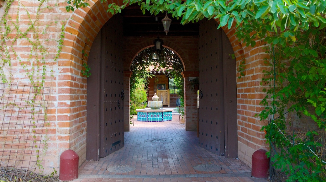 Tohono Chul Park showing a park