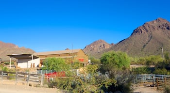 Old Tucson Studios showing tranquil scenes and heritage elements