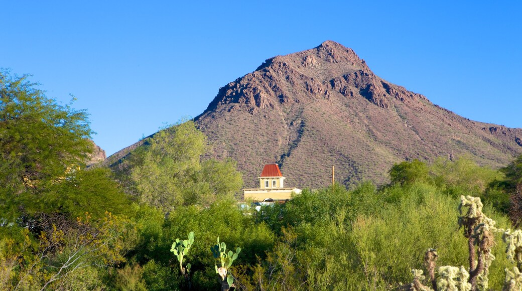 Old Tucson Studios featuring mountains, tranquil scenes and desert views