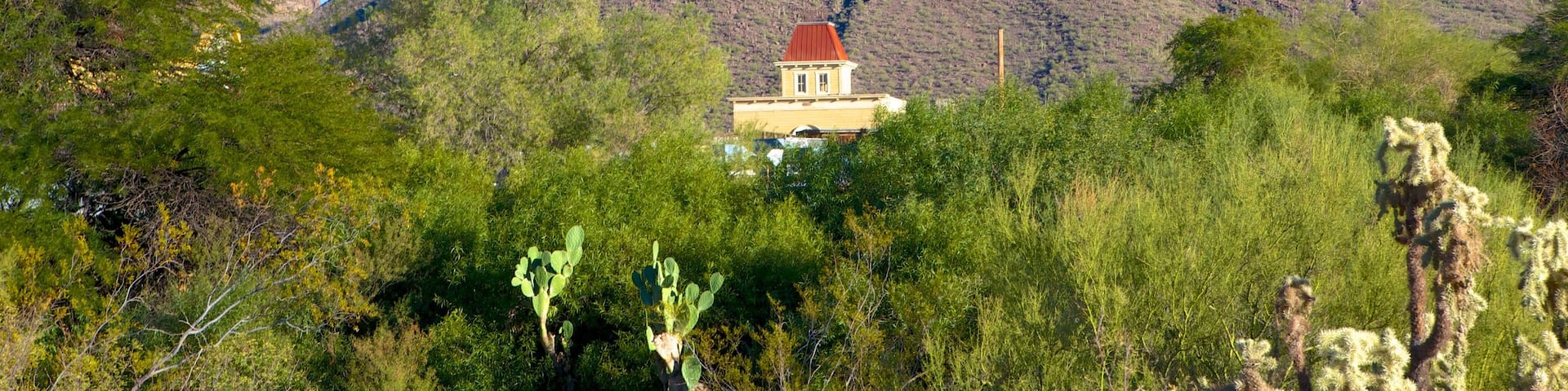 Old Tucson Studios featuring mountains, tranquil scenes and desert views