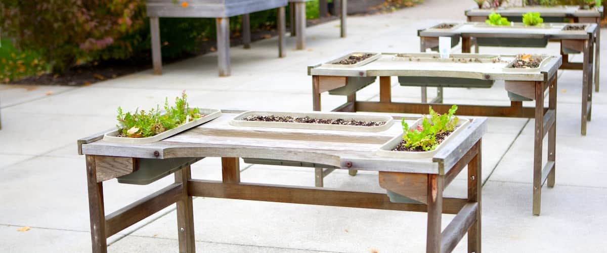 Franklin Park Conservatory and Botanical Gardens featuring a garden