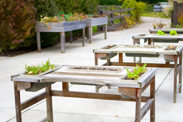 Franklin Park Conservatory and Botanical Gardens mettant en vedette parc