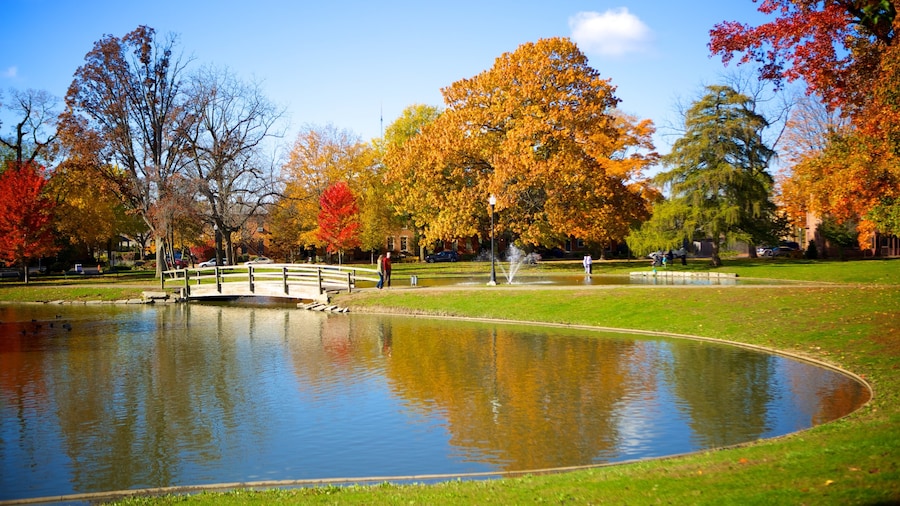 Parque Schiller ofreciendo hojas de otoño, un estanque y un puente