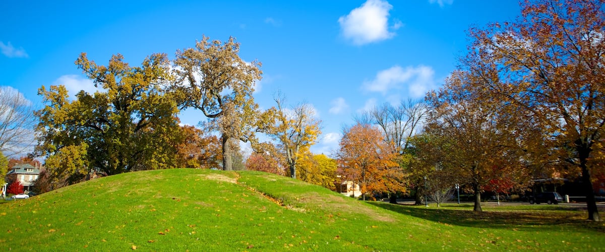 Schiller Park featuring autumn leaves and a garden