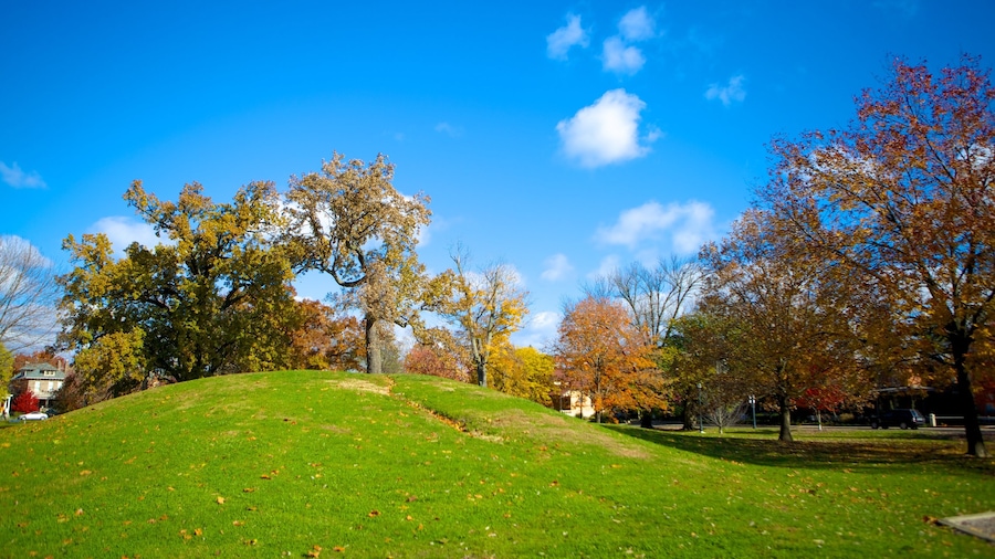Parque Schiller que incluye un jardín y los colores del otoño