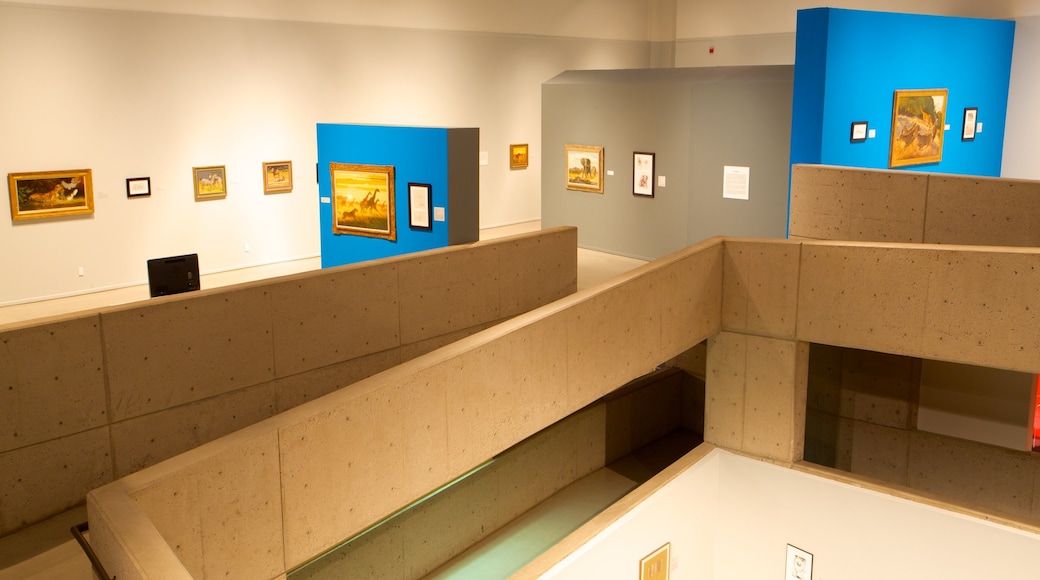 Tucson Museum of Art showing interior views and art