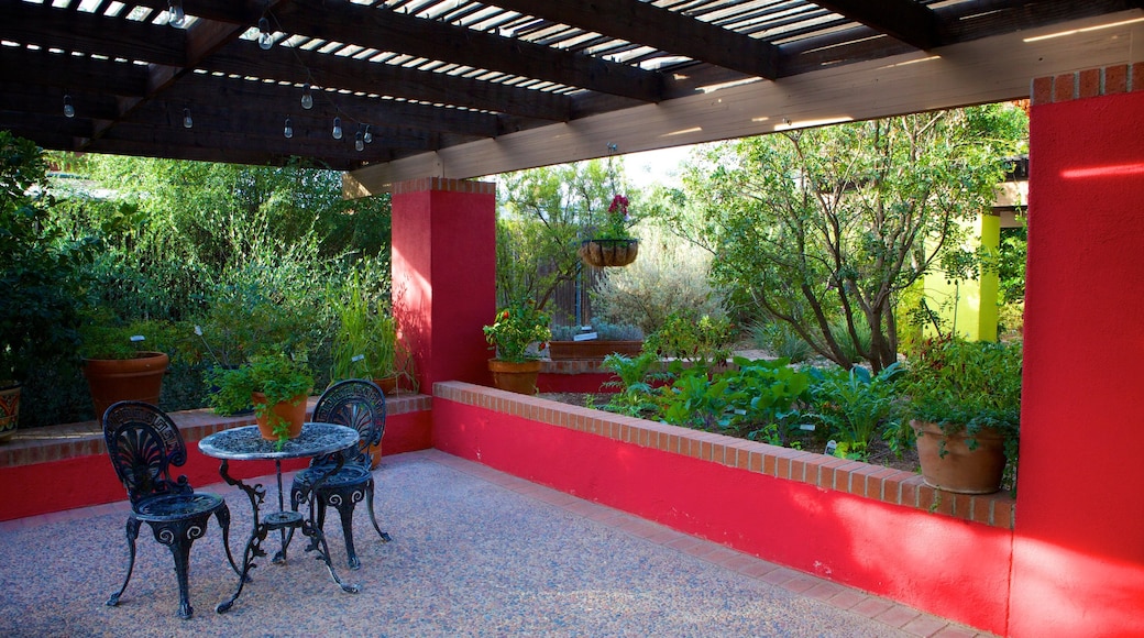 Tucson Botanical Gardens showing a park