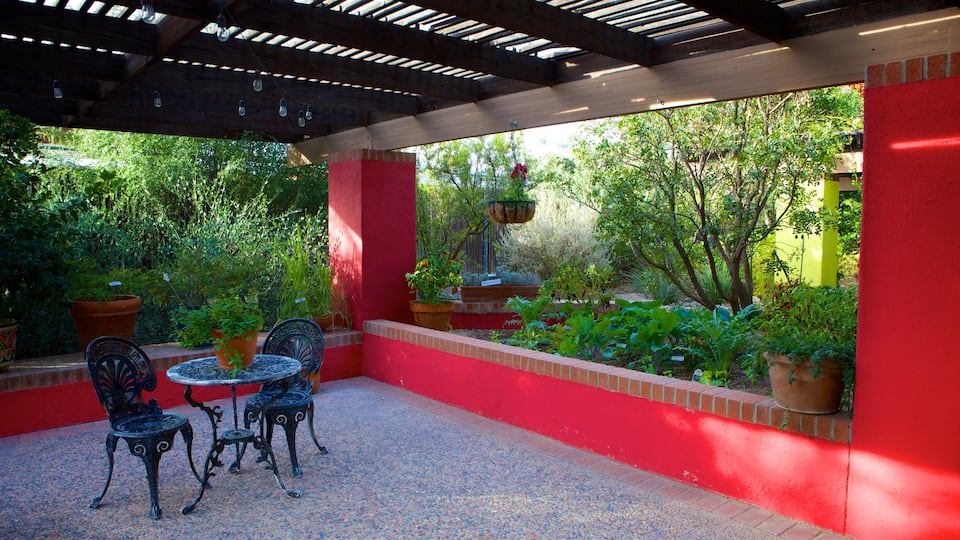Tucson Botanical Gardens featuring a park